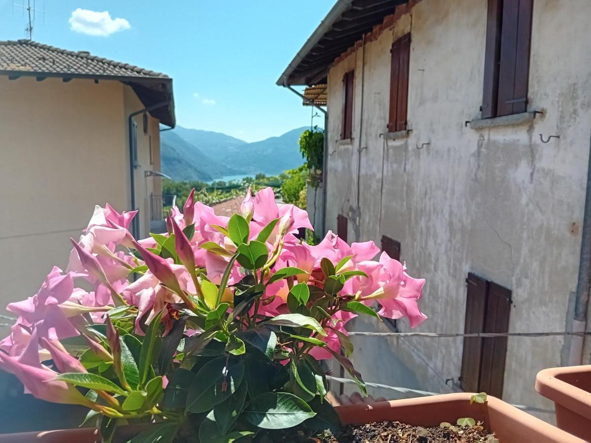 فيلا Casa Di Ariel Carlazzo المظهر الخارجي الصورة